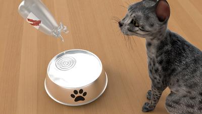 Pet Hydration Drops with Bowl