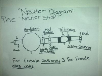 The diagram of my neuter strap..